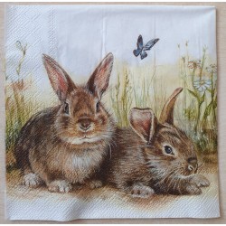 Serviette Kaninchen