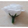 Stoff Rosen weiss