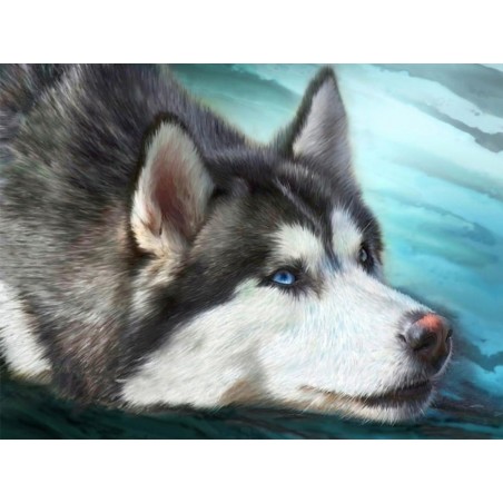 3D Diamant Pixel Bild Husky