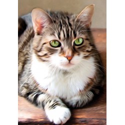 3D Diamant Pixel Bild Katze