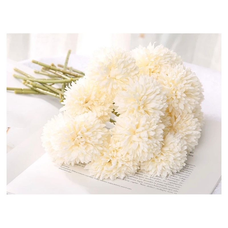 Löwenzahn Blume weiss