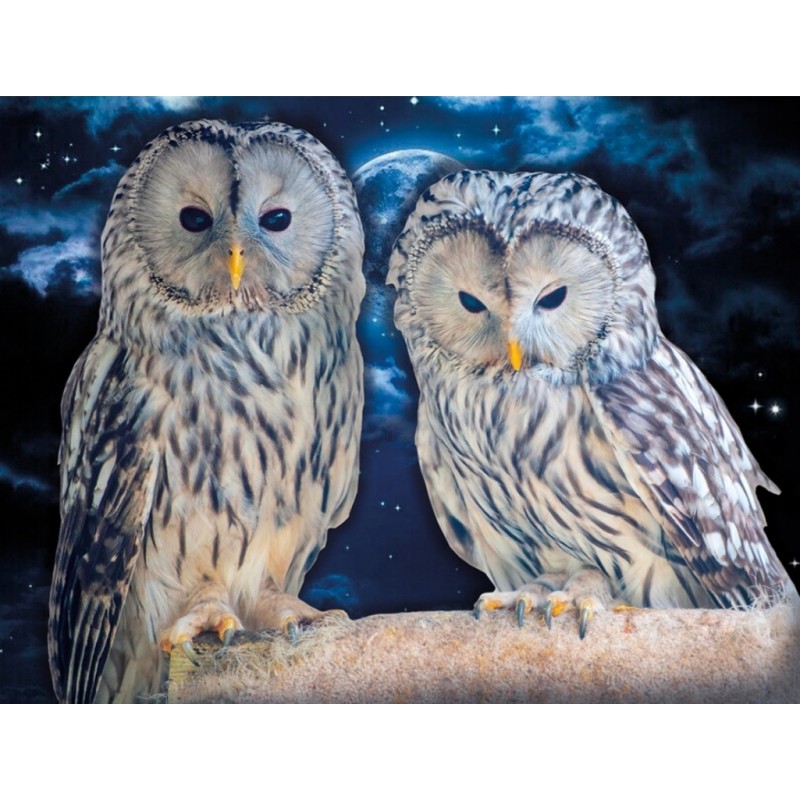 3D Diamant Pixel Bild Eulen
