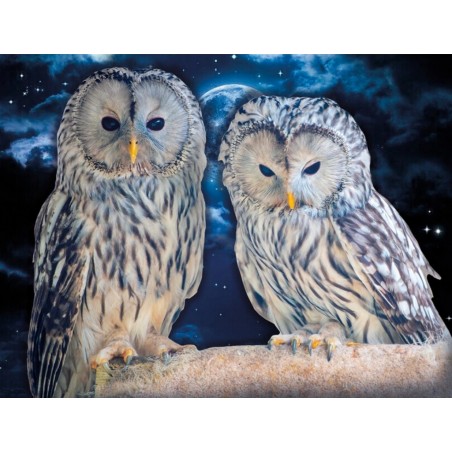 3D Diamant Pixel Bild Eulen