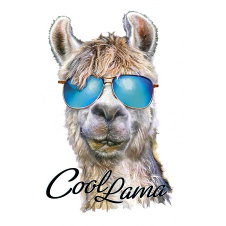 Bügel Bild Lama