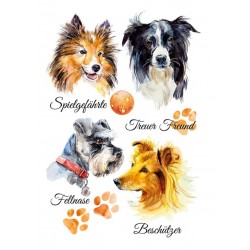 Bügel Bild Hunde