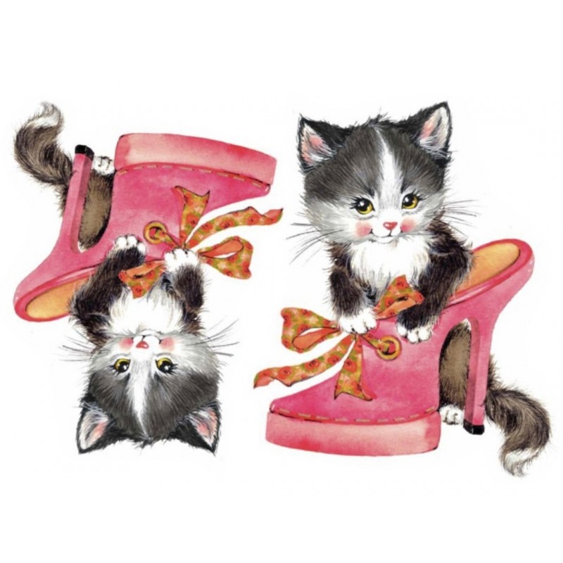 Bügel Bild Katzen