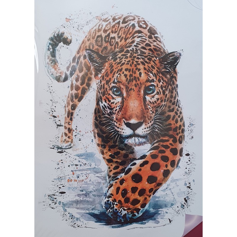Bügel Bild Leopard