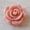Harz Rose lachs