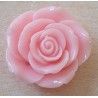 Harz Rose rosa