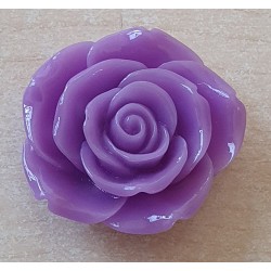 Harz Rose lila