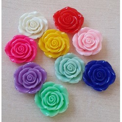 Harz Rose lila