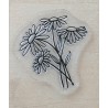 Clear Stamps Margriten