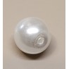 Wachsperle weiss