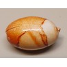 Kunststoff Perle oval orange