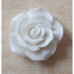 Harz Rose weiss