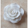 Harz Rose weiss