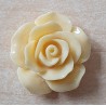 Harz Rose hellgelb