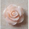 Harz Rose helllachs