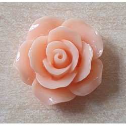 Harz Rose lachs
