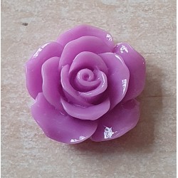 Harz Rose lila