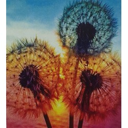 5D Diamant Pixel Bild Pusteblume