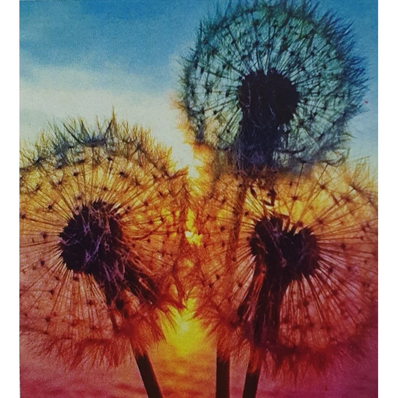 5D Diamant Pixel Bild Pusteblume