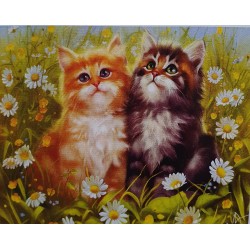 5D Diamant Pixel Bild Katzen