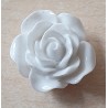 Harz Rose weiss
