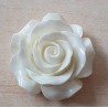 Harz Rose weiss