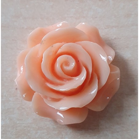 Harz Rose lachs