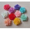 Harz Rose lachs