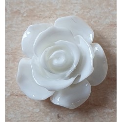 Harz Rose weiss