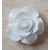 Harz Rose weiss