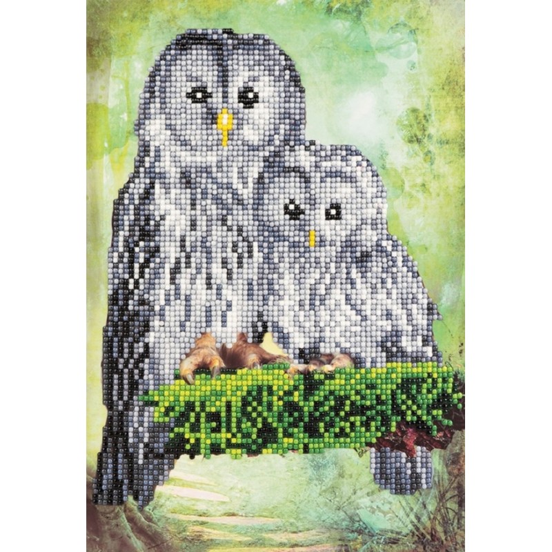 3D Diamant Pixel Karte Eulen