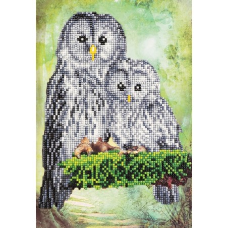 3D Diamant Pixel Karte Eulen
