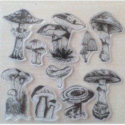 Clear Stamps Pilze