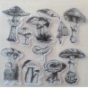 Clear Stamps Pilze