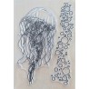 Clear Stamps Qualle