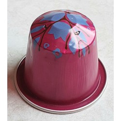 Nespresso Kapsel Original (leer) pink/blau