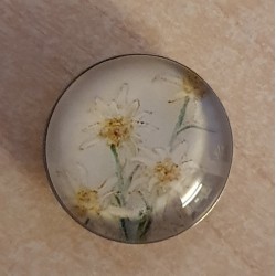 Druckknopf Edelweiss weiss
