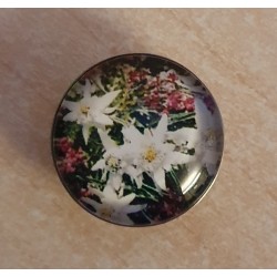 Druckknopf Edelweiss bunt