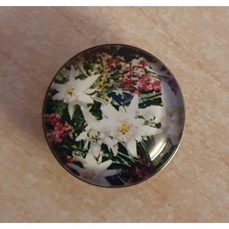 Druckknopf Edelweiss bunt