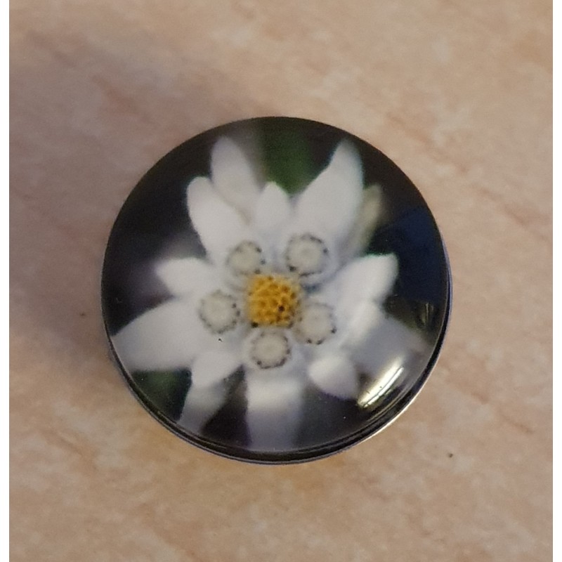 Druckknopf Edelweiss schwarz