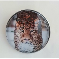 Druckknopf Leopard