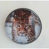 Druckknopf Leopard