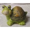 Schildkröte