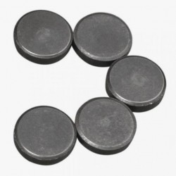 Magnet