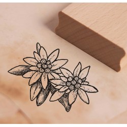 Holz Stempel Edelweiss