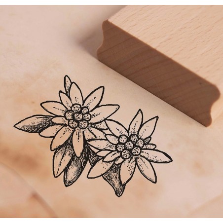 Holz Stempel Edelweiss