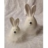 Kaninchen mit Federn weiss 2
